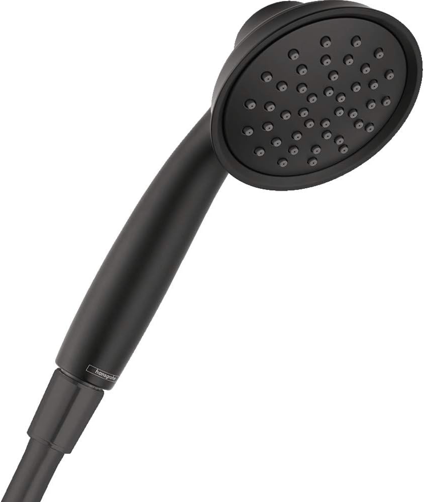 Handheld Shower Head B3961