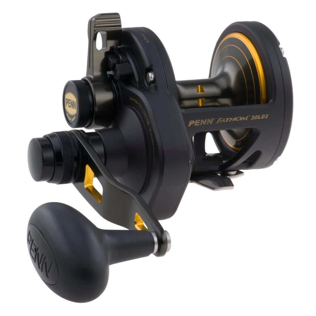 Lever Drag 2-Speed Reel Q4319