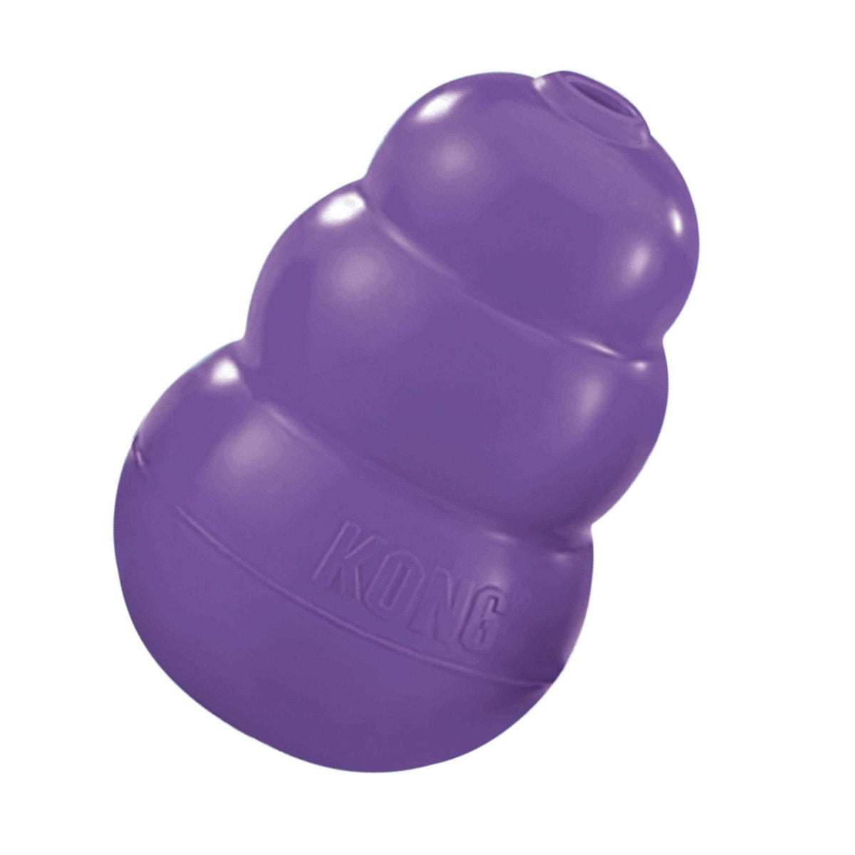 Senior Dog Toy D5568