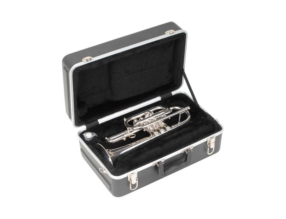 Cornet Case P465996