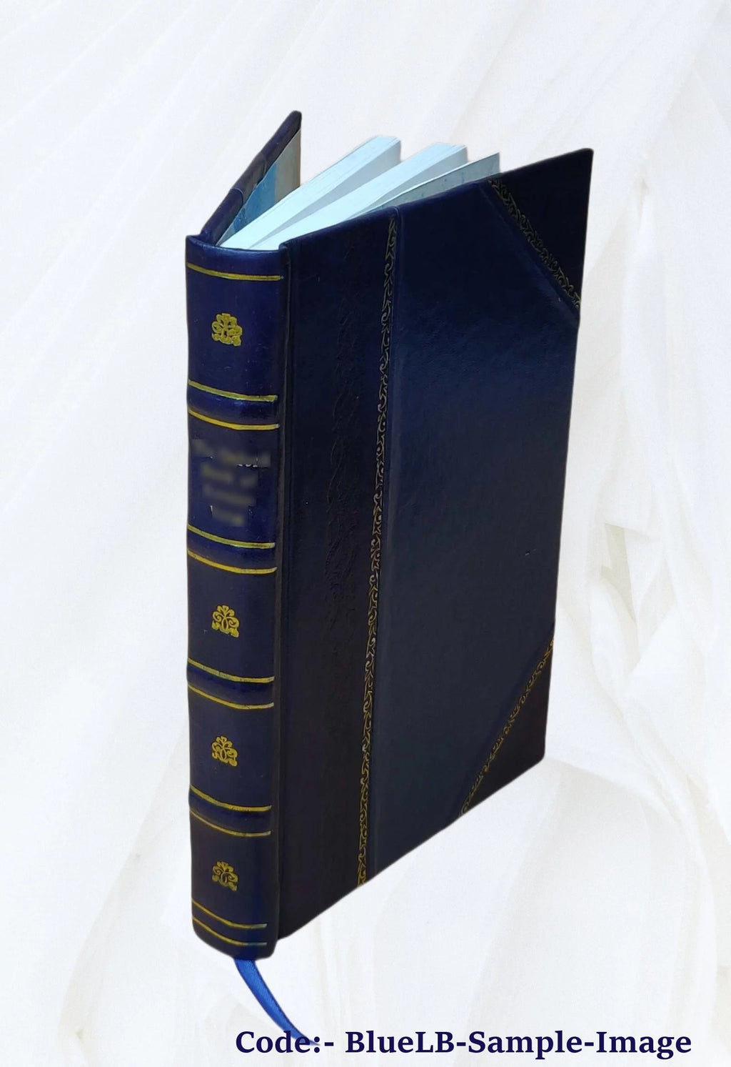 Water Supply of the United States Snake River Basin Leather Bound Z757