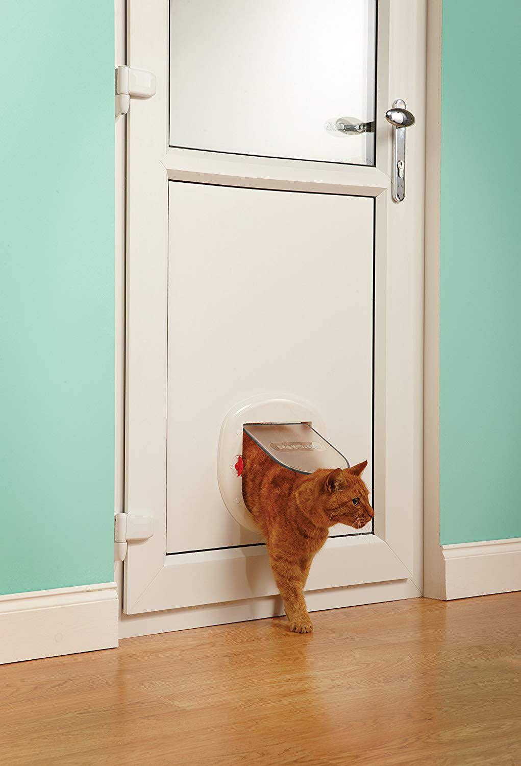 White Pet Door W290929