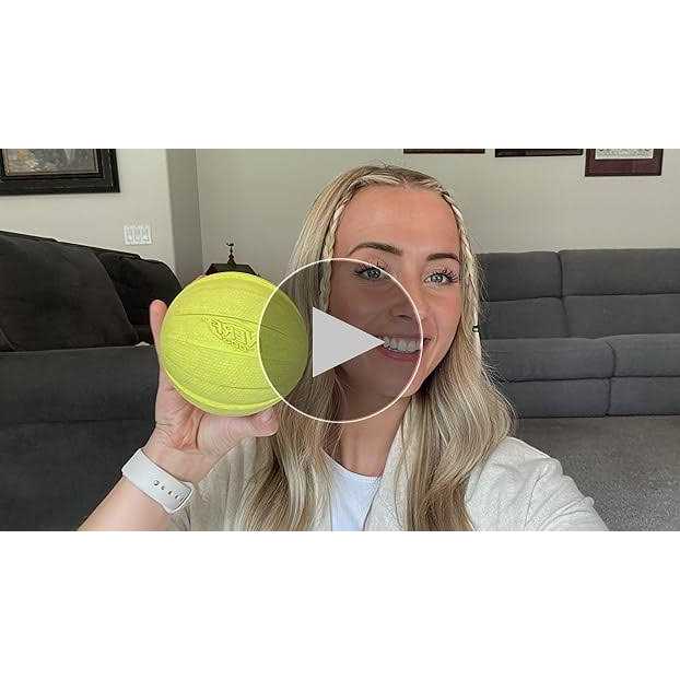 Dog Ball Dog Toy Y86651