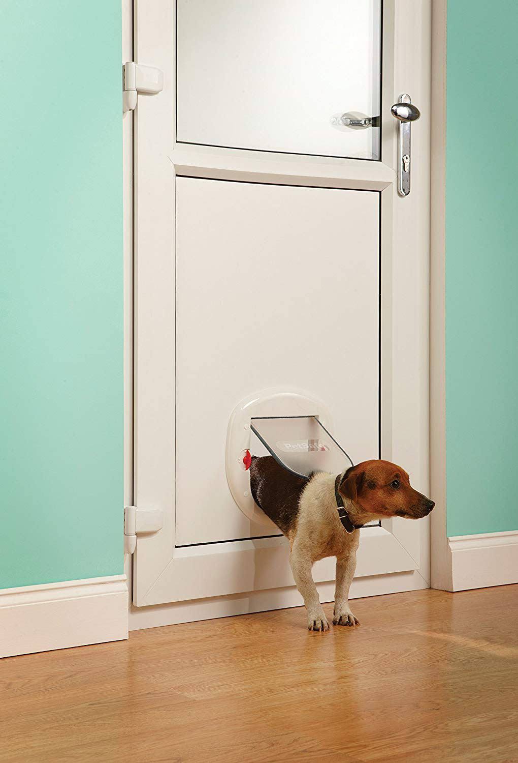 White Pet Door W290929