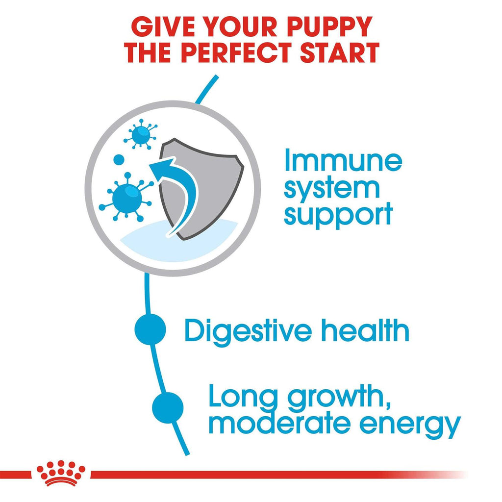 Large Breed Puppy Dry Dog Food Y24255