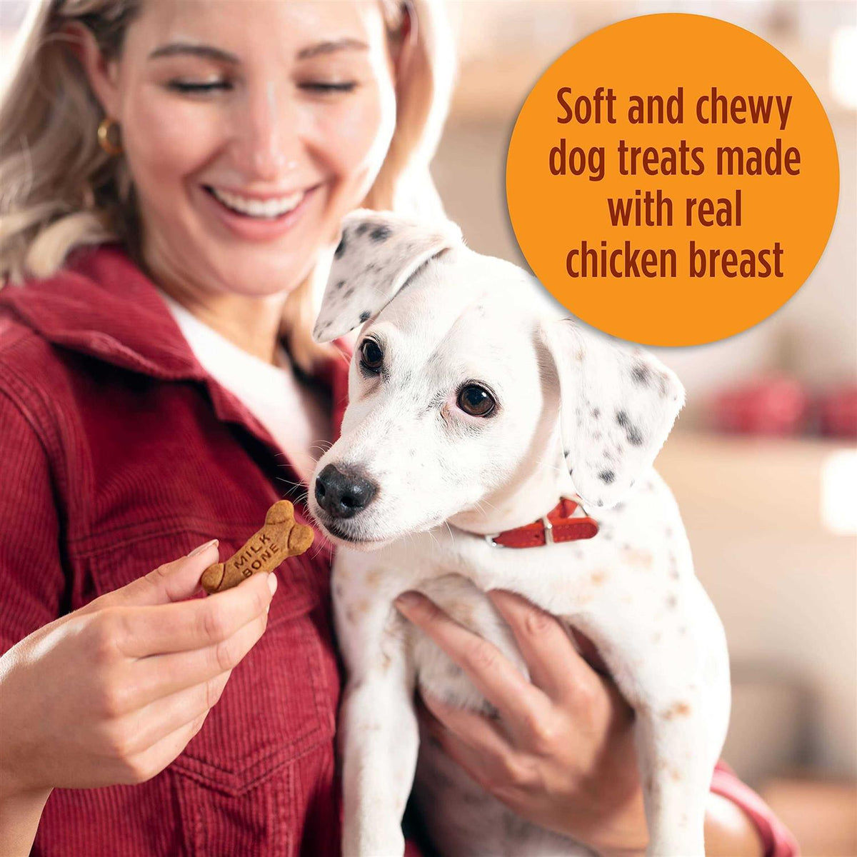 Soft & Chewy Chicken Dog Treats Y26213