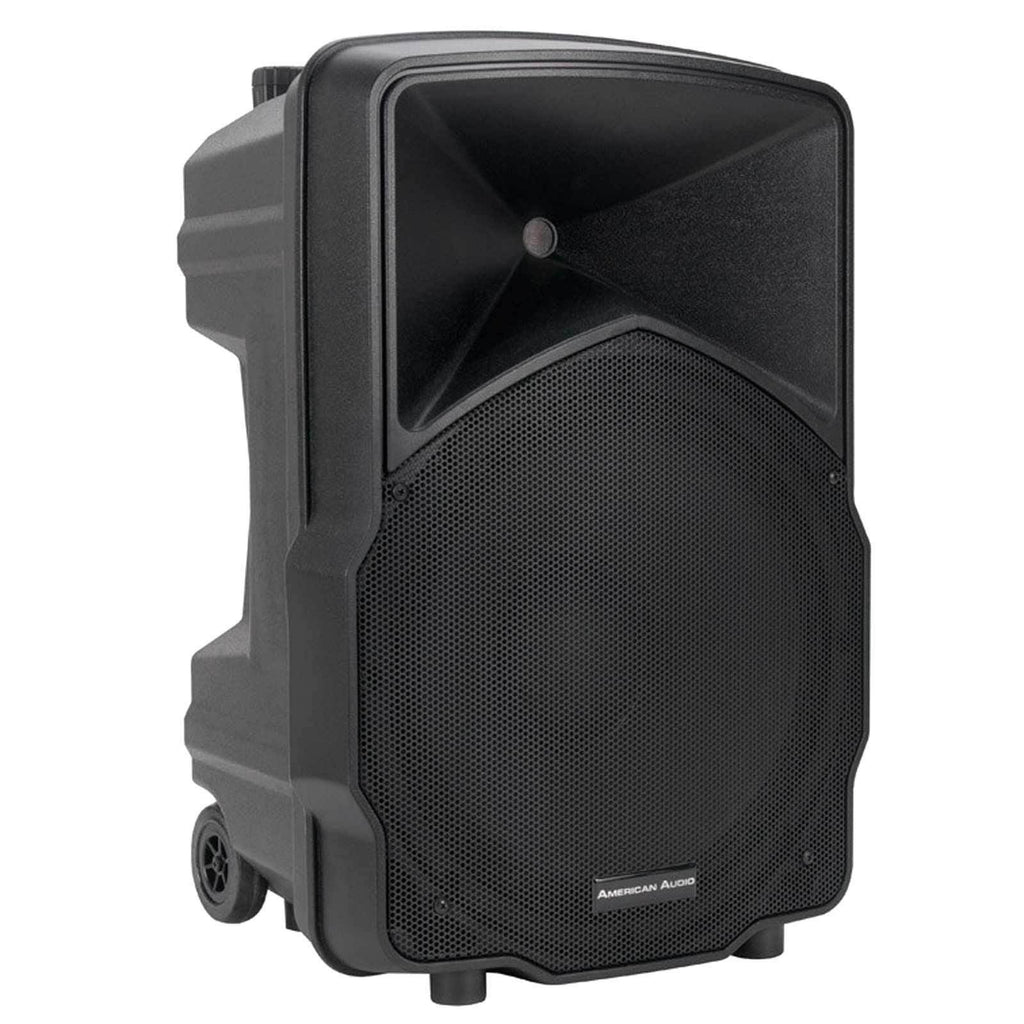 2-way PA Speaker T441590