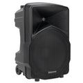 2-way PA Speaker T441590