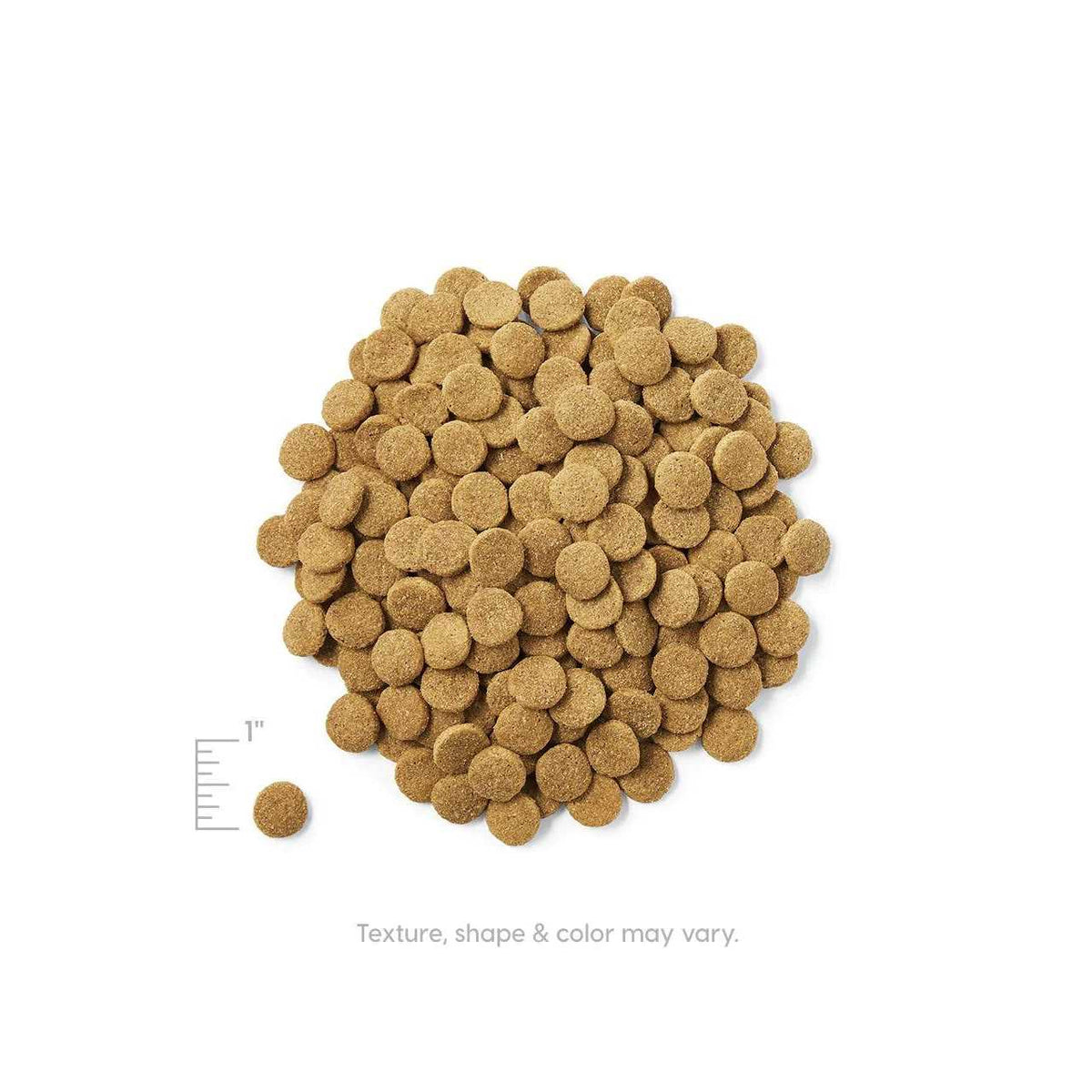 Dry Dog Food Lamb T59166