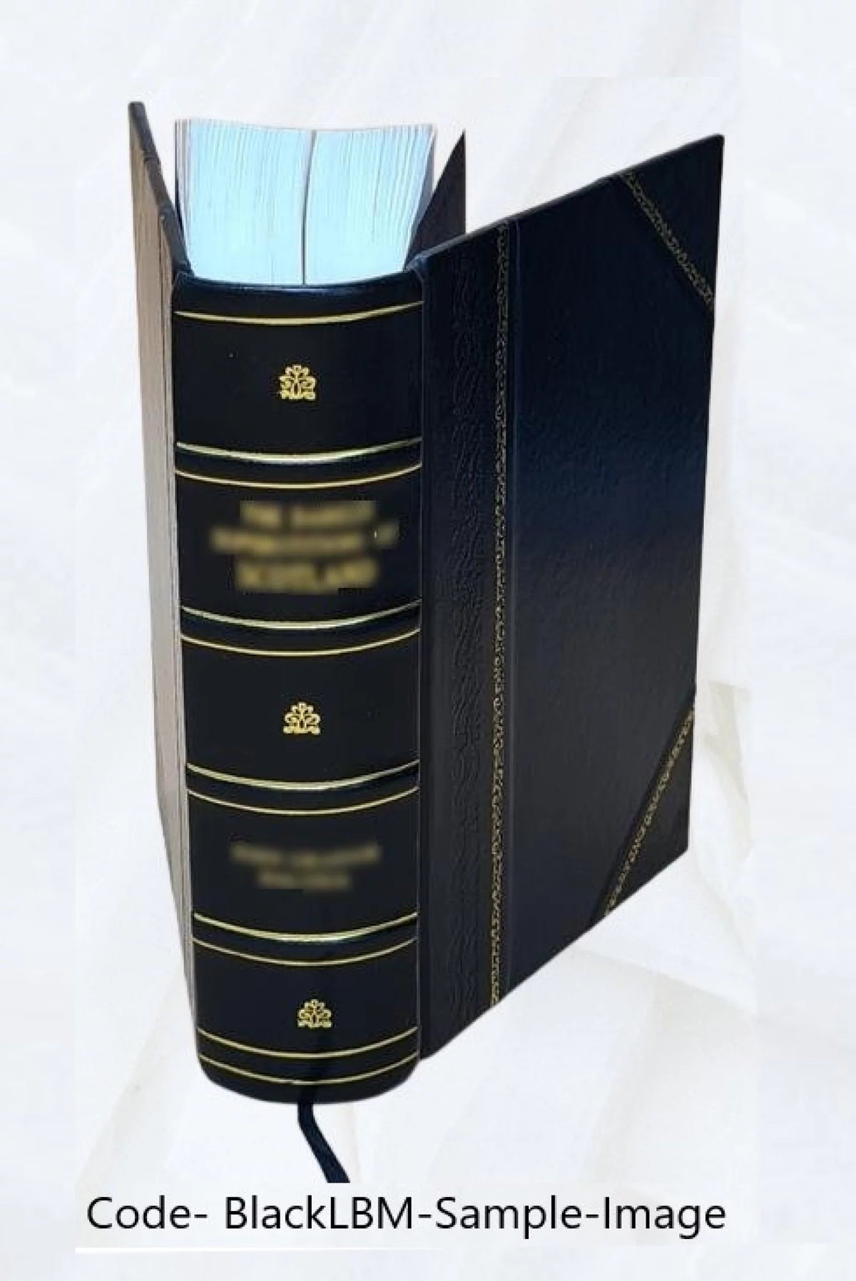 Géologie pratique Leather Bound C151