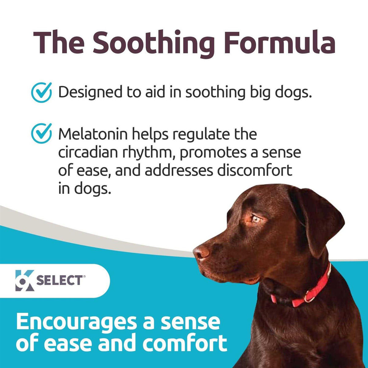 Melatonin for Dogs 6mg 90 Chewable Tablets Z52179