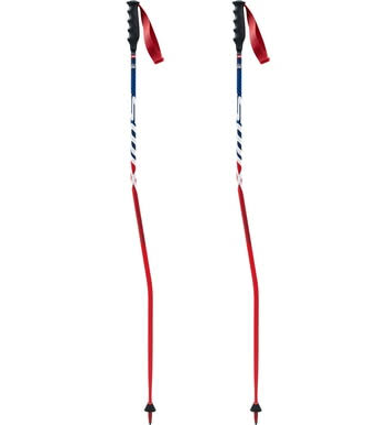 Carbon GS/SG Race Poles S5491