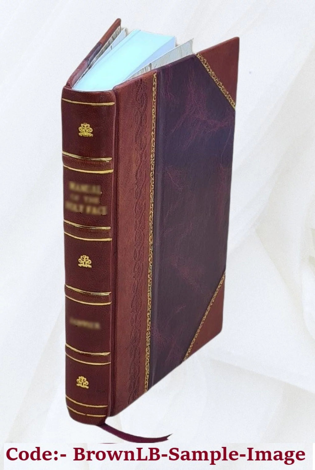 Water Supply of the United States Snake River Basin Leather Bound Z757