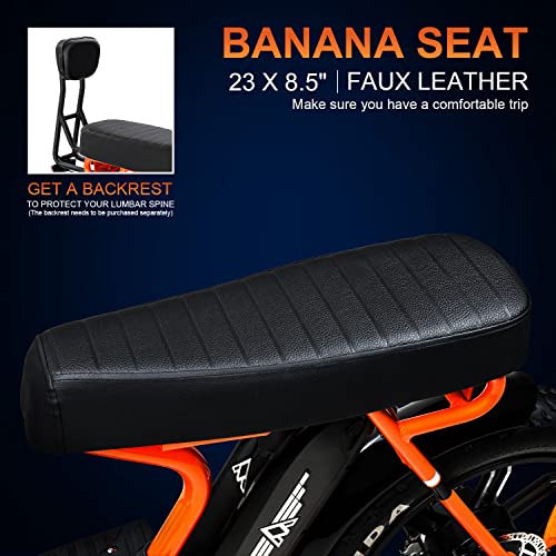 20'' Fat Tire Electric Bike with 750W Motor and 48V/20Ah Battery F817