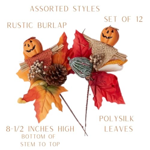 Set of 12 Assorted Pumpkin Face Picks 8-1/2 Inches High S9791