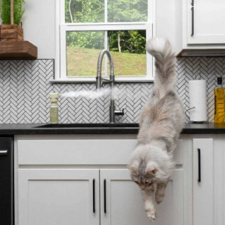Pet Deterrent Spray B569706