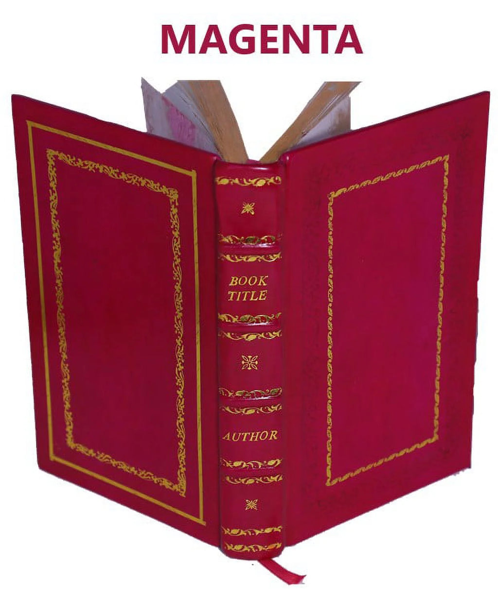 Premium Leather Bound Book P99369