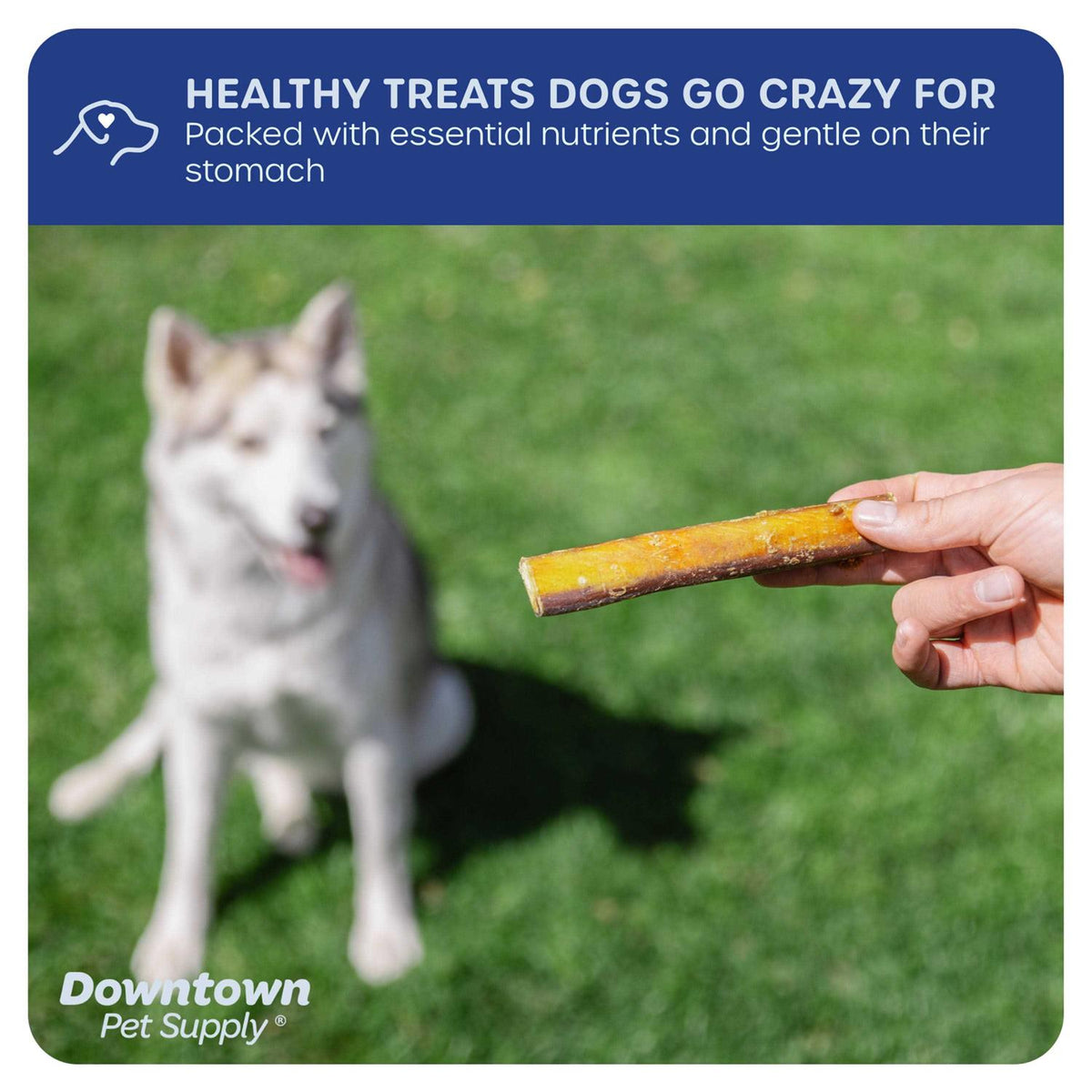 Thick Rawhide Free Dog Chews M28969