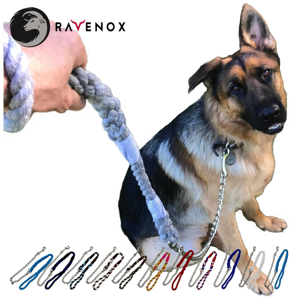 Dog Leash with Chain H74955