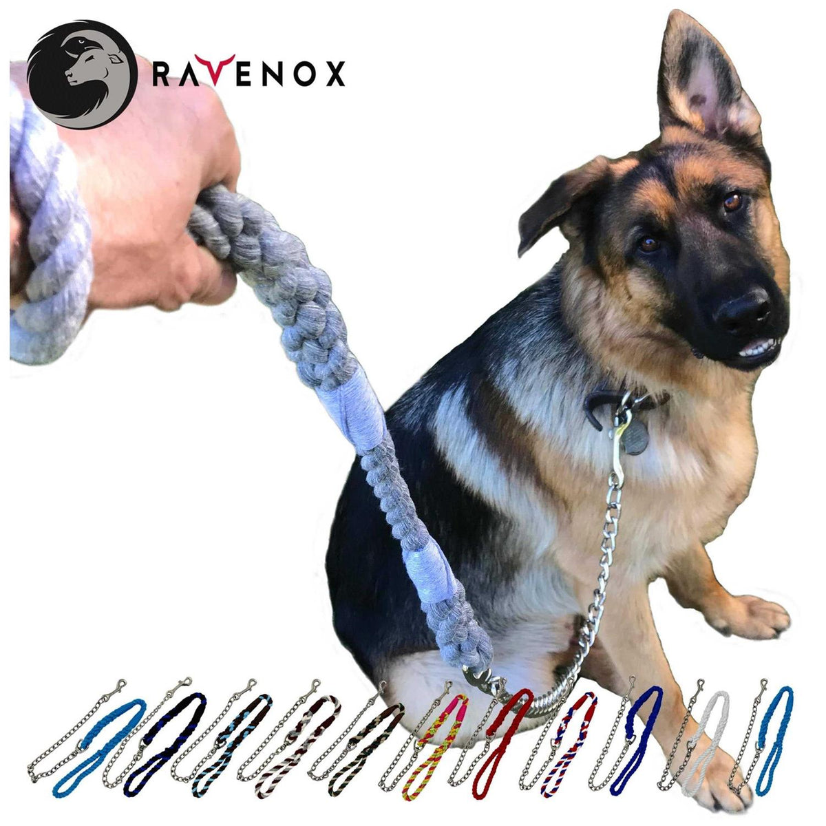 Dog Leash with Chain H74955