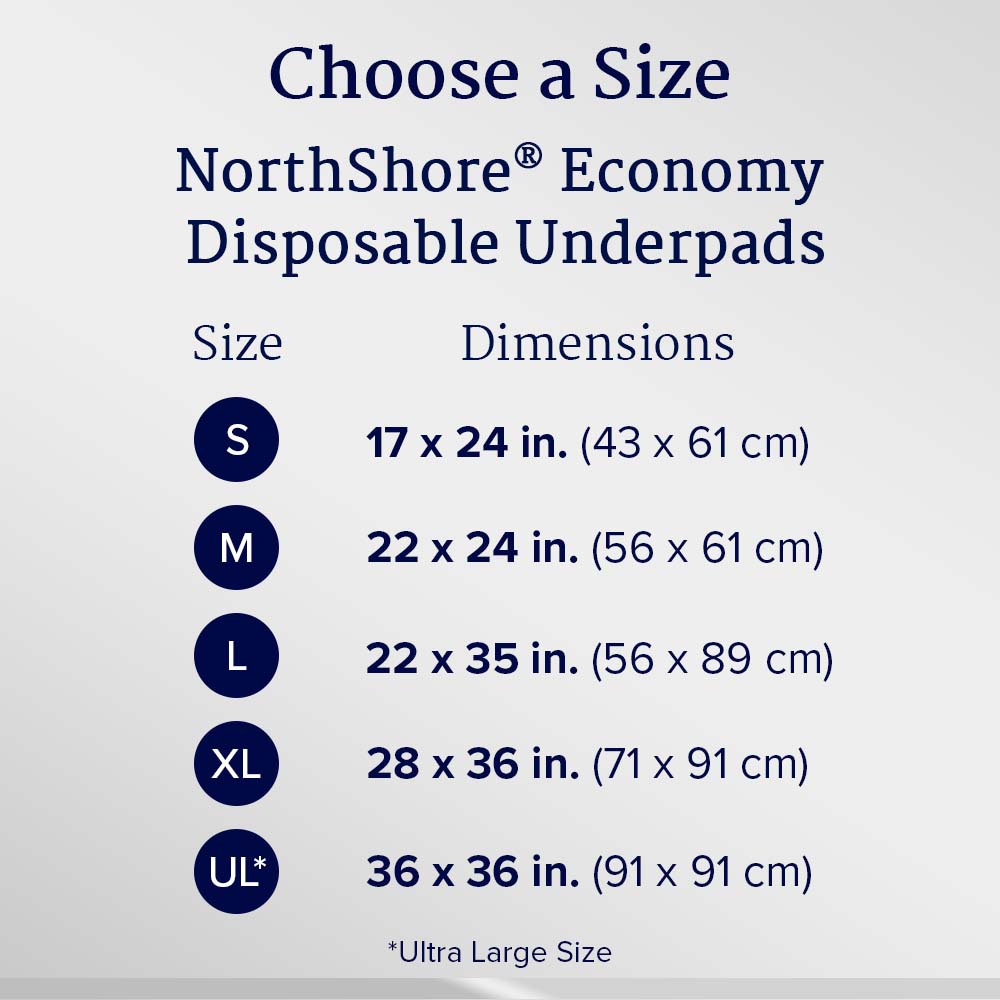 Economy Disposable Underpads, Small, 17x24 in., Case/200 T194182