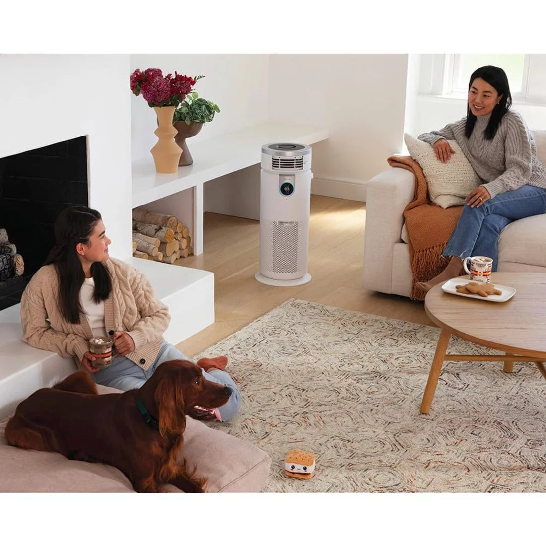 Air Purifier 3-in-1 with True HEPA Q58670