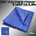 Blue Poly Tarp Cover 16' x 20' feet L440373