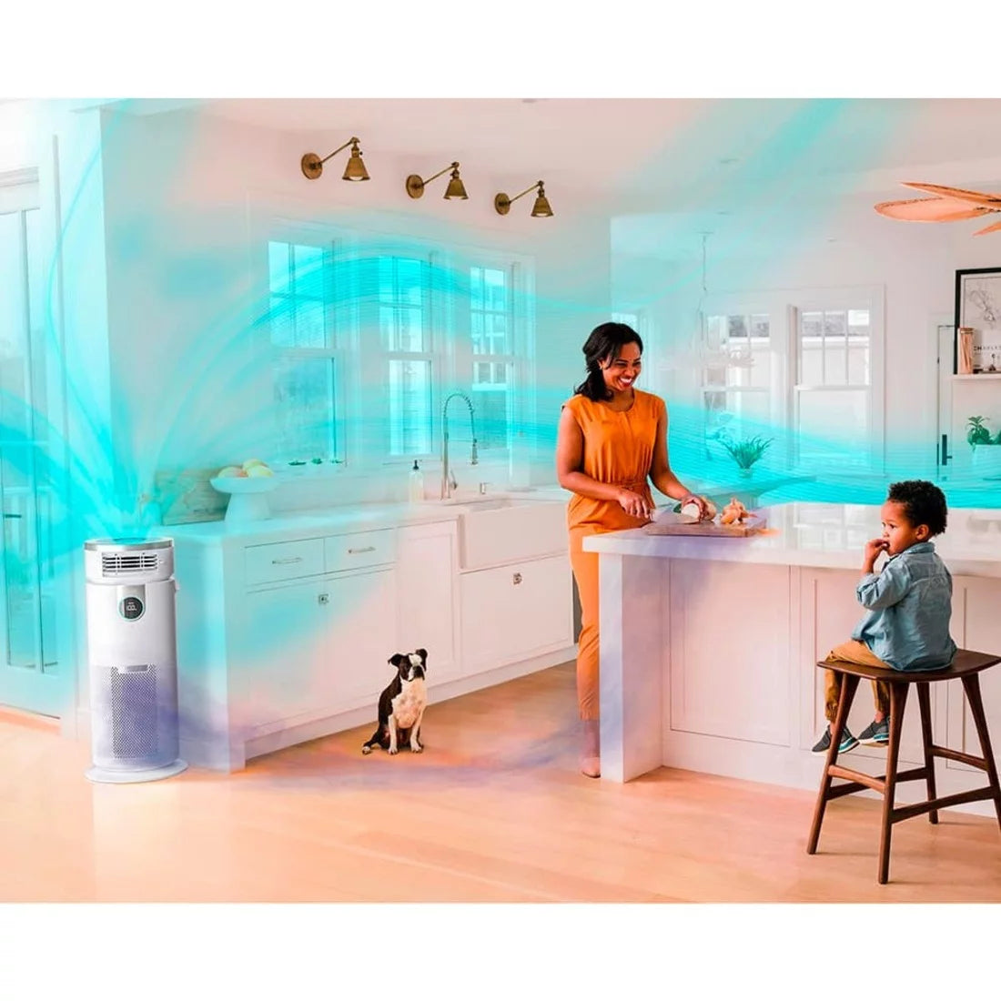 Air Purifier 3-in-1 with True HEPA Q58670