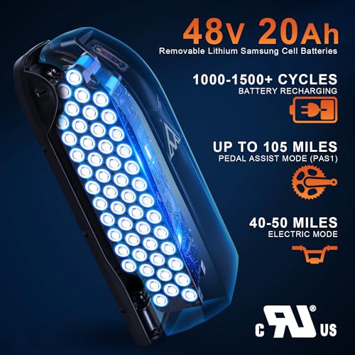 20'' Fat Tire Electric Bike with 750W Motor and 48V/20Ah Battery F817