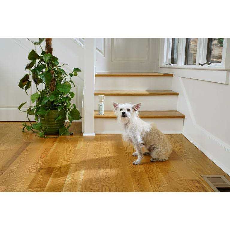 Pet Deterrent Spray B569706