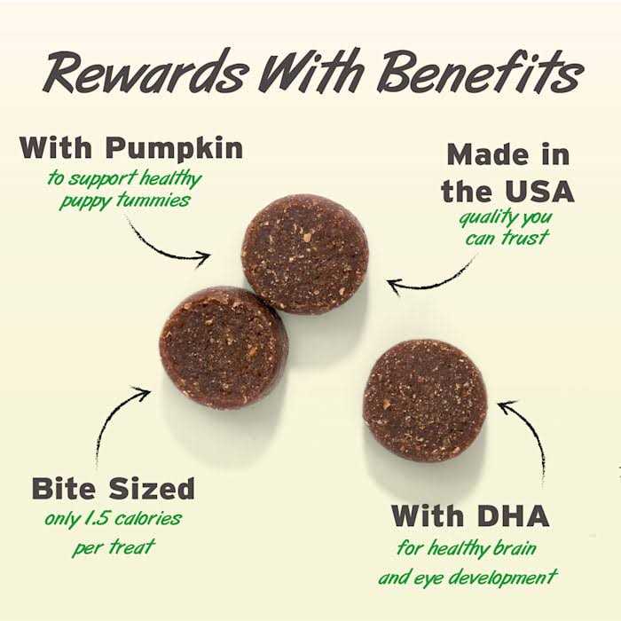 Peanut Butter Soft & Chewy Dog Training Treats D448