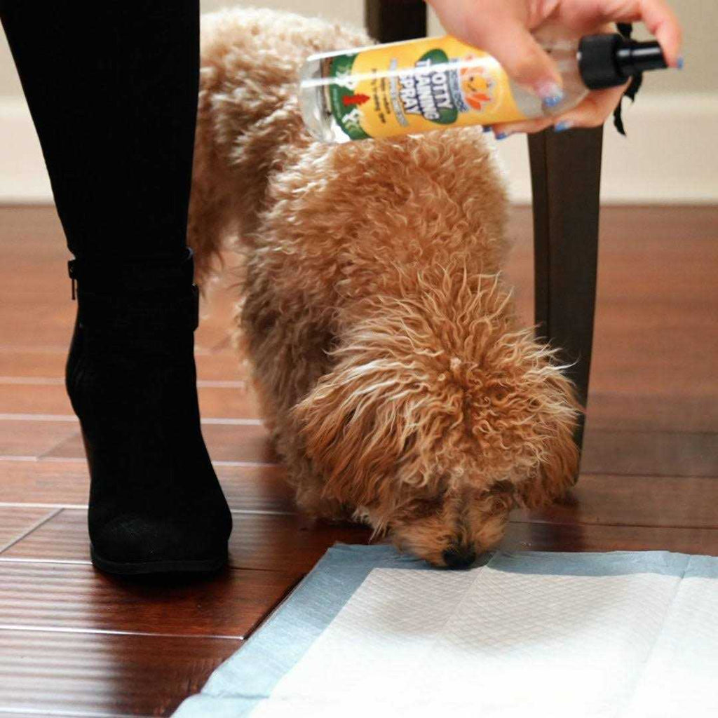 Indoor Outdoor Potty Training Spray for Dogs & Puppies R853
