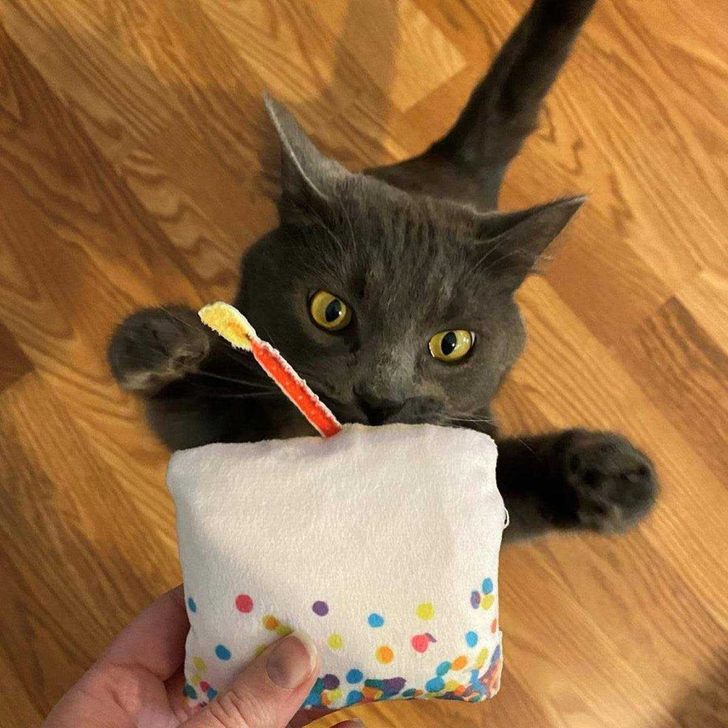 Refillable Cat Toy O640