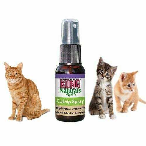 Catnip Spray X37115