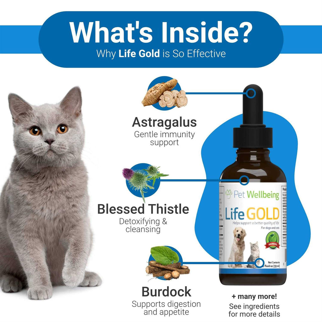 Life Gold for Dogs K394031