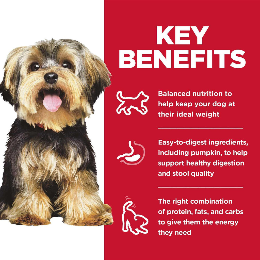 Wet Dog Food Variety Pack Q56349