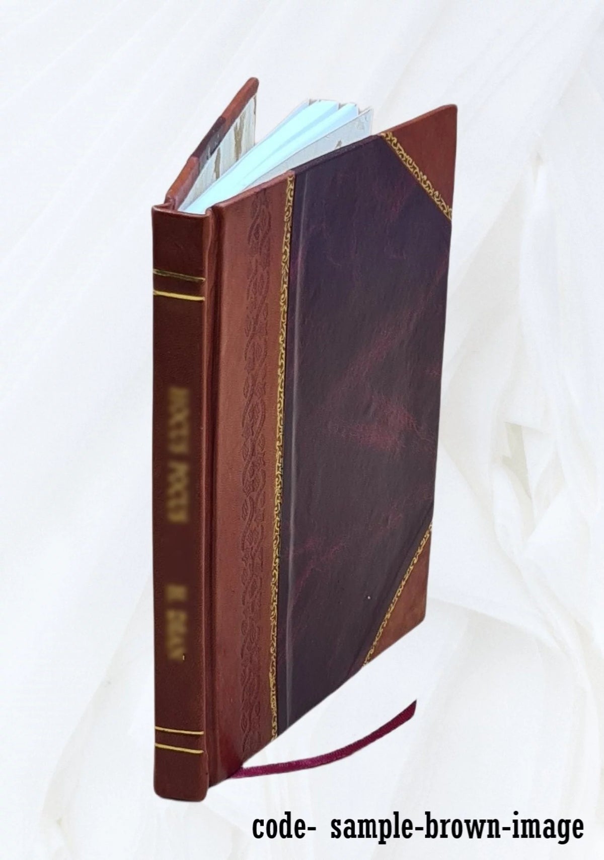 Pictorial History of the United States Leather Bound E86636