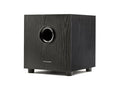 100-Watt Powered Subwoofer S591