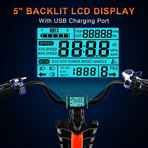 20'' Fat Tire Electric Bike with 750W Motor and 48V/20Ah Battery F817