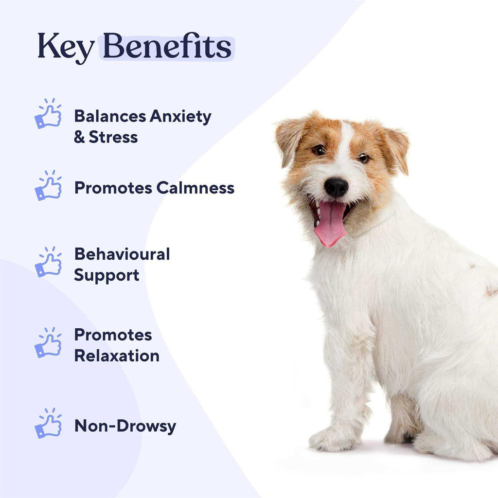 Calming Soft Chews M903636