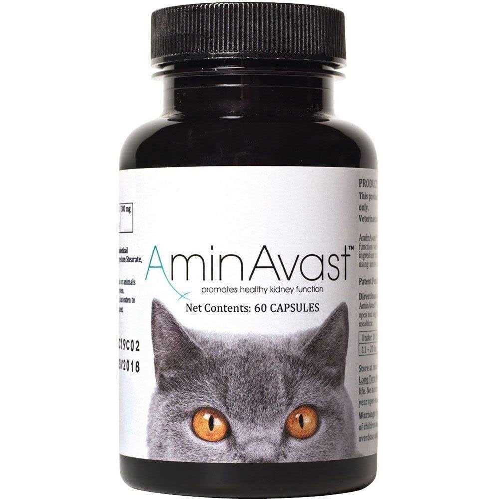Kidney Support for Cats O9195