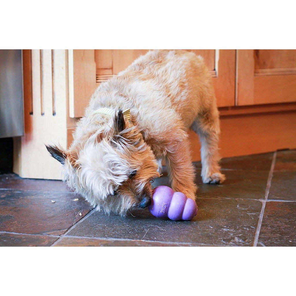 Senior Dog Toy D5568
