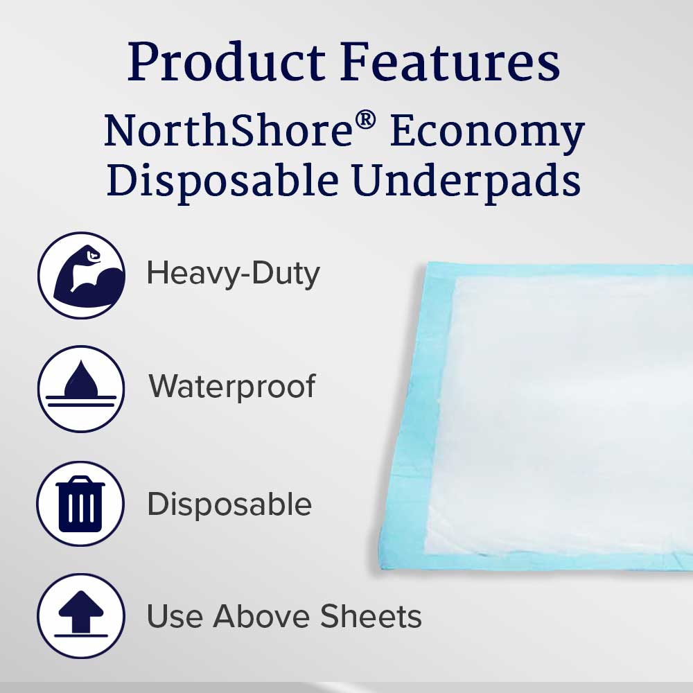 Economy Disposable Underpads, Small, 17x24 in., Case/200 T194182