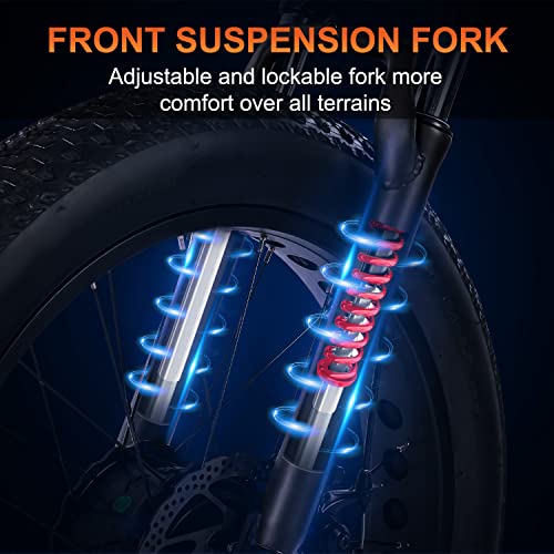 20'' Fat Tire Electric Bike with 750W Motor and 48V/20Ah Battery F817