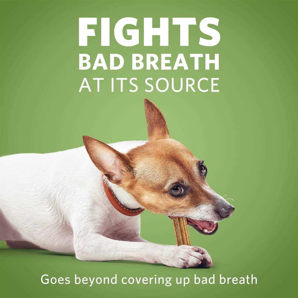 Mini Dog Chews S48330
