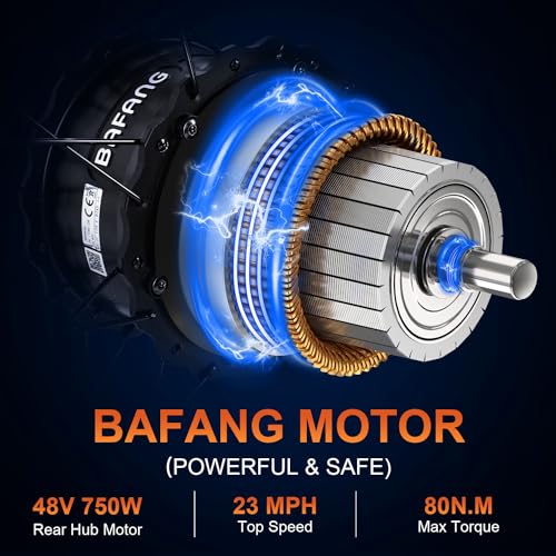 20'' Fat Tire Electric Bike with 750W Motor and 48V/20Ah Battery F817