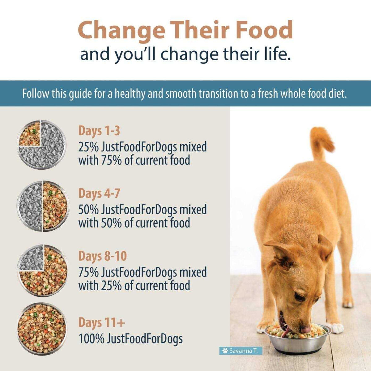 Frozen Fresh Dog Food for Liver Health O972013