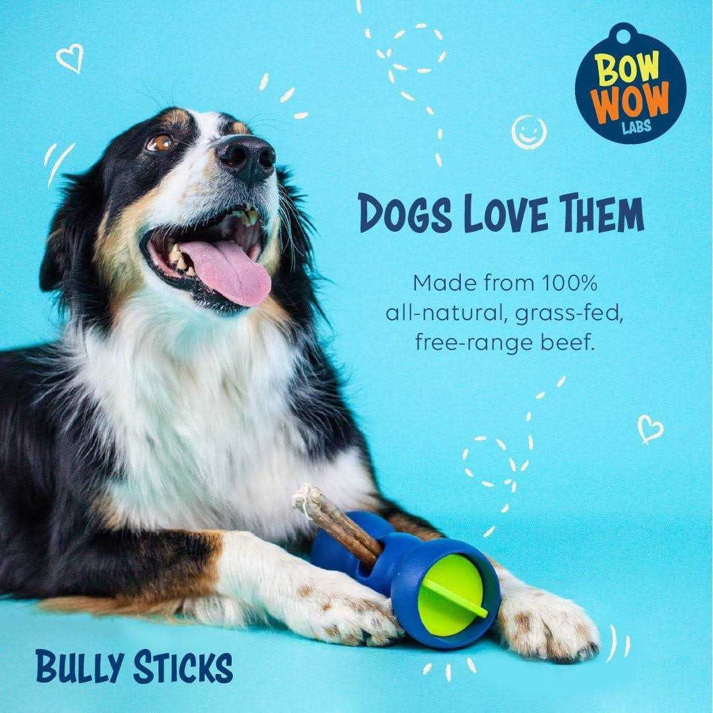 Safe Fit Bully Sticks U65104