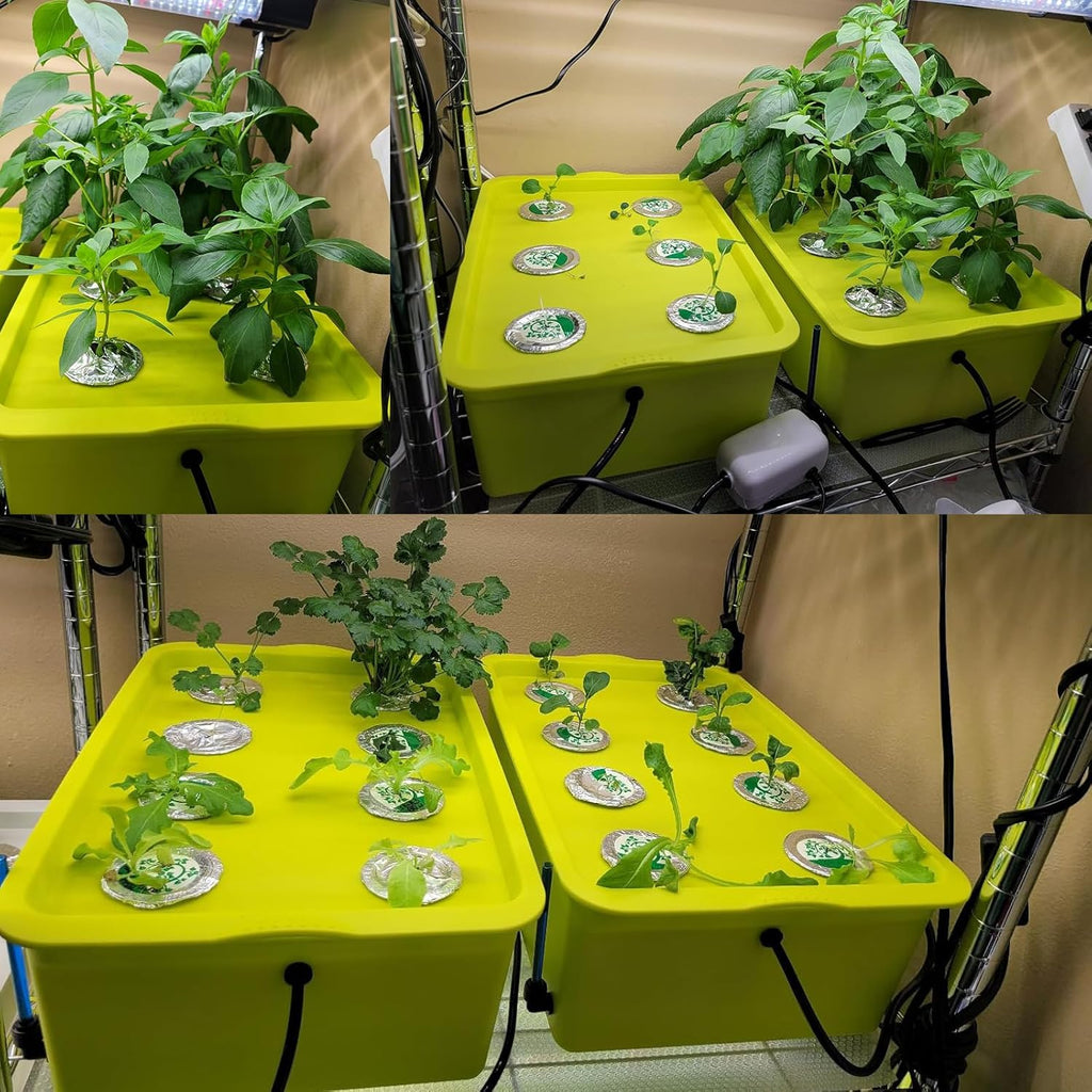 Medium Size 6 Plant Sites Hydroponic System Growing Kit with Air Pump O557