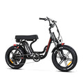 20'' Fat Tire Electric Bike with 750W Motor and 48V/20Ah Battery F817